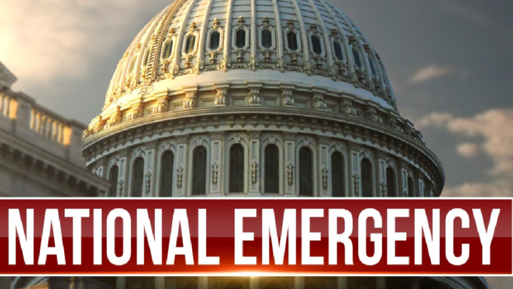 President Trump Declares COVID-19 a National Emergency